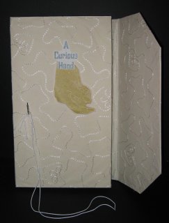 A Curious Hand - Ruth Ann Howden